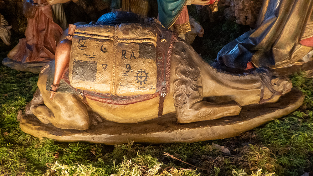 Kamel aus dem Gefolge der Weisen