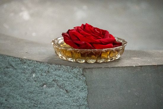 eine Rosenblüte auf dem Taufstein