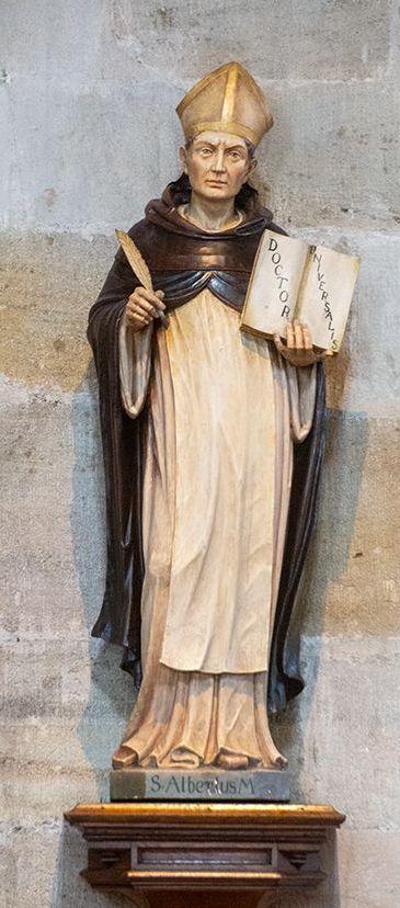 Albertus magnus, der Doctor Universalis